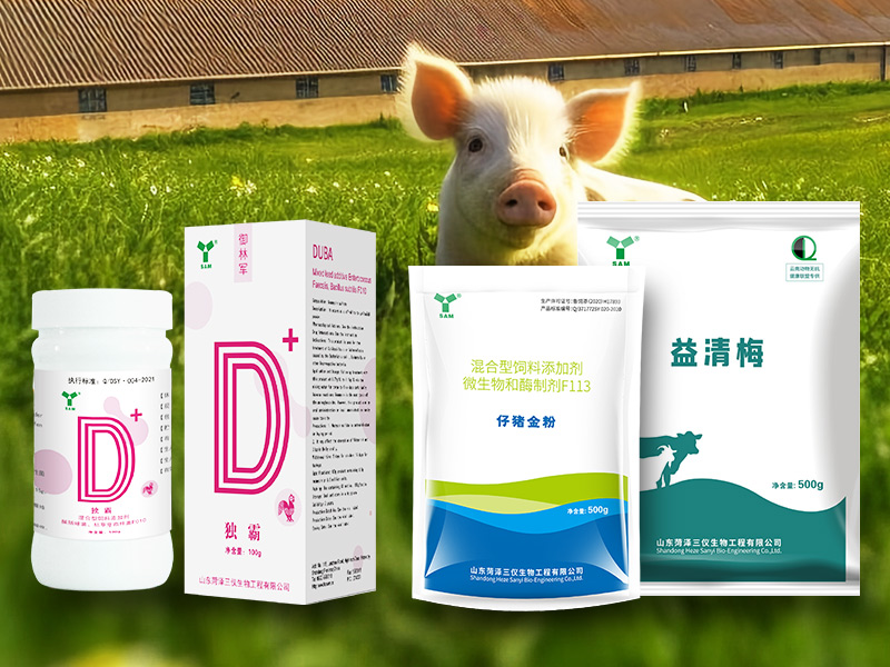 新型飼添